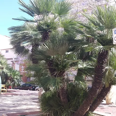 Wonderful Seafront * Cannes